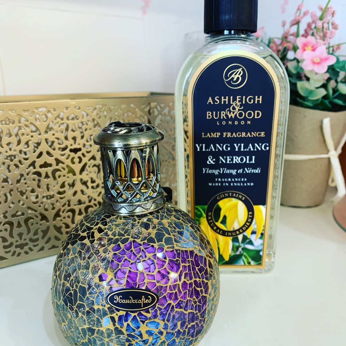 Candlesplus's tweet photo. The beautiful fragrance of Ylang-Ylang and Neroli with the amazing #ashleighburwood Fragrance Lamps. Cleanse the air, and create a calm environment. https://t.co/KDcrMVgv0M