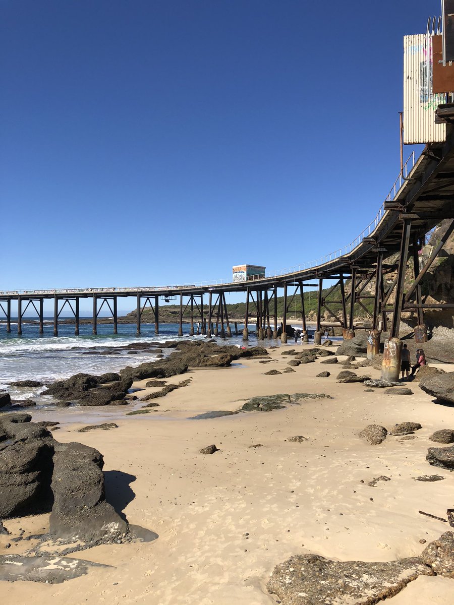 Newy Traveller tweet media