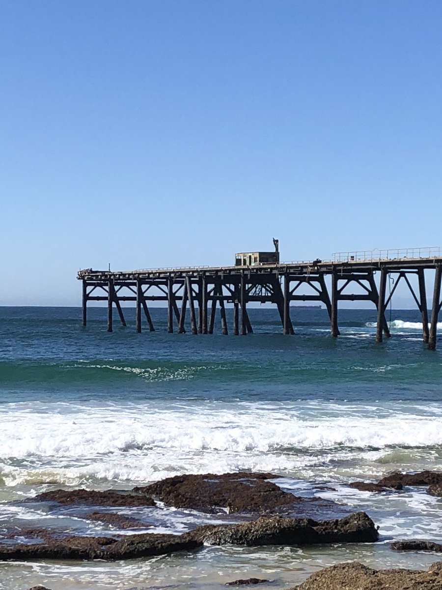 Newy Traveller tweet media