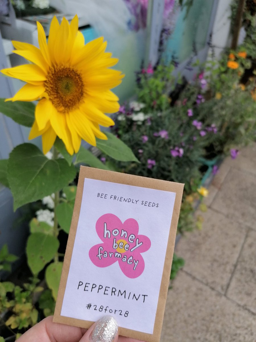 Day 1 of #28for28 and it's planting seeds for bees and people! I'm going for peppermint from <a href="/honeybeefarmacy/">Honeybee Farmacy CIC</a> 🐝 Looking forward to 28 days of challenges from <a href="/CN2028/">Carbon Neutral Nottingham 2028</a> to back Nottingham's carbon neutral ambitions! #pledgetoplant
