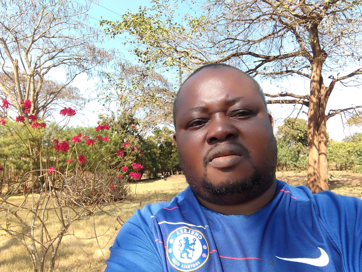 Hammered all sorts of herbs which are out there up to a point Covid 19 has relocated. Been a journey full of pains but Hope was kept for real