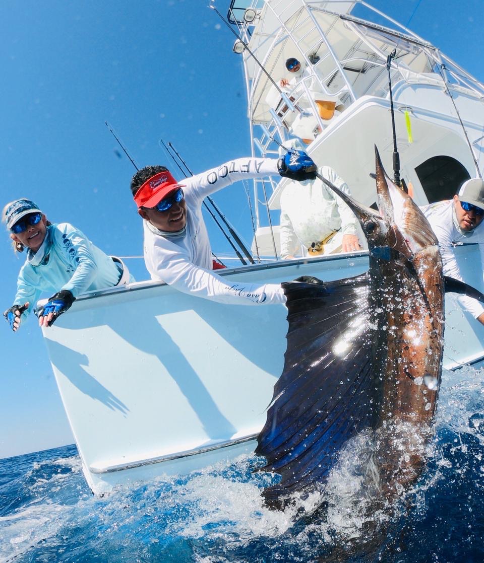 CasaViejaLodge's tweet photo. Jumpin into #SailfishSaturday | #CasaViejaLodge | #SailfishCapital | #BucketListFish https://t.co/ppLHphok3H