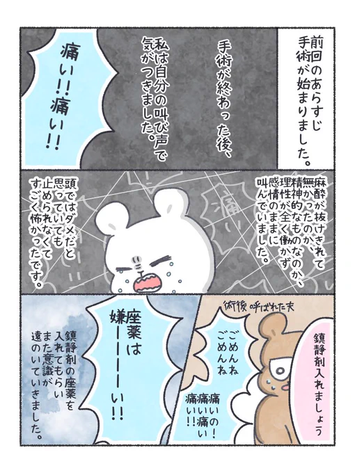 稽留流産体験記 ④

#ちとせ育児 #流産 #稽留流産 