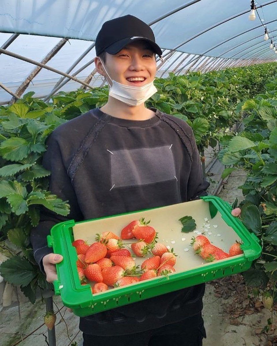 Speaking of strawberries, this picture belongs here 