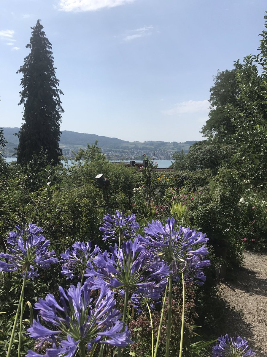 AnitaBunk's tweet photo. Discovering the beauties of the Höri peninsula at #LakeConstance in #HerrmannHesse gardens. A real treasure for those with a passion for traditional gardening close to nature. https://t.co/GMjjC8uchE