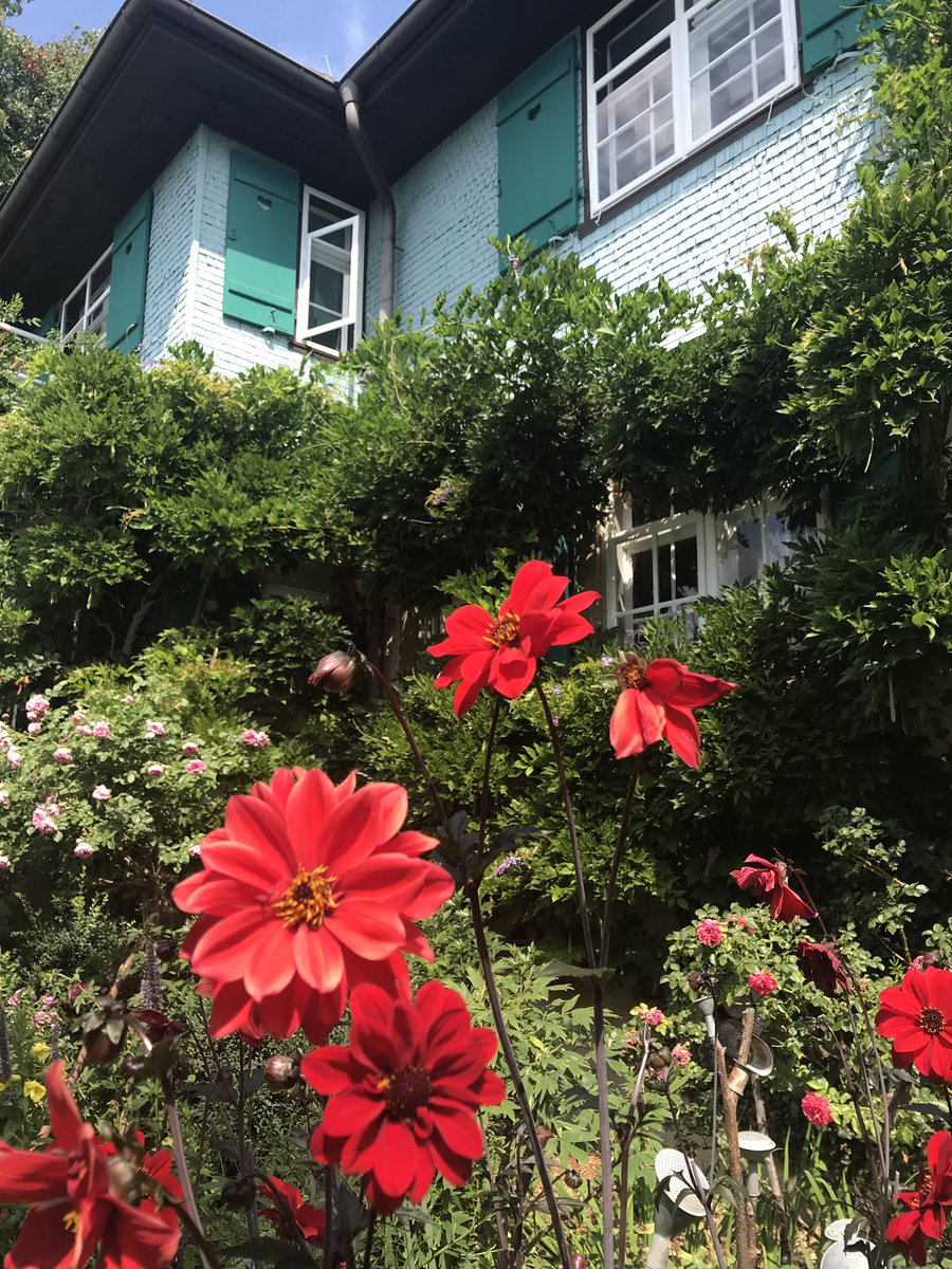AnitaBunk's tweet photo. Discovering the beauties of the Höri peninsula at #LakeConstance in #HerrmannHesse gardens. A real treasure for those with a passion for traditional gardening close to nature. https://t.co/GMjjC8uchE