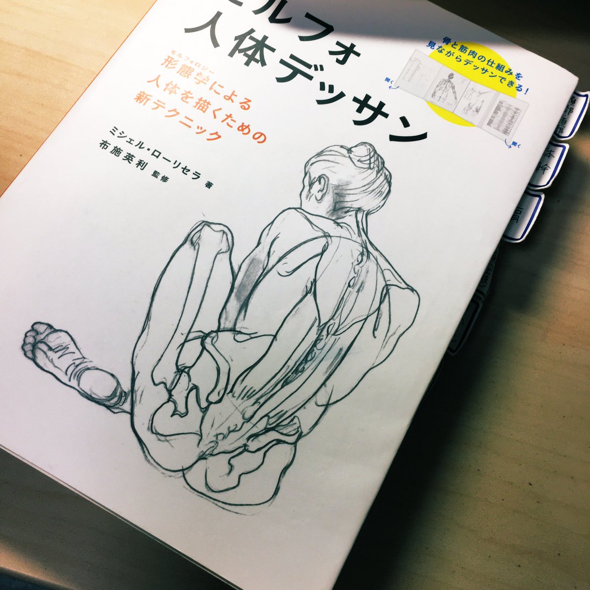 モルフォ人体デッサン / ミシェル・ローリセラ

まだ半分くらいしか模写出来てない。けど、事あるごとに開いてはいます。肩の付け根と肘から下、大腿部と手袋、靴下の中身部分は本当に苦手。身に付かない描き方をしてると思うので勉強方法を検討中。 