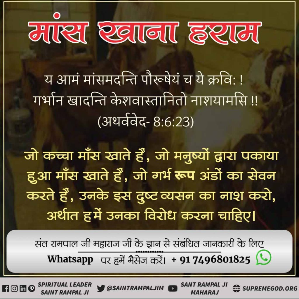 MalaSha49512683's tweet photo. #Allah_DidntAllow_Qurbani
वे पैगंबर पाक़ पुरुष थे, साहिब के अब्दाली।।
गरीबदासजी बताते हैं कि नबी मुहम्मद जी परमात्मा की बहुत नेक आत्मा थी। उन्होंने कभी मांस नहीं खाया, न अपने 1,80,000 शिष्यों को खाने को कहा।
अधिक जानकारी के लिए Satlok Ashram Youtube चैनल पर visit करें https://t.co/QBAitJYc7Z