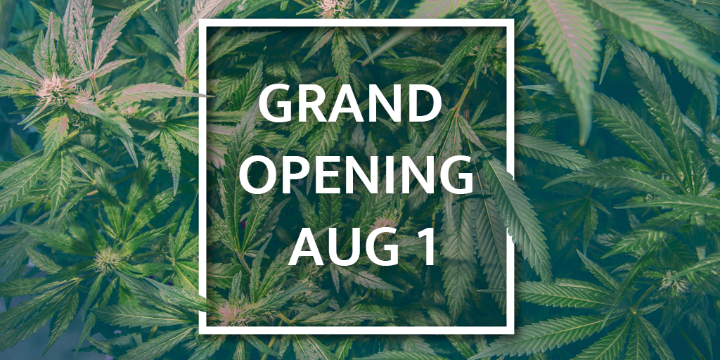 pureleafcanna's tweet photo. GRAND OPENING TODAY at 10 am! We’re a local, family-owned business – no run-of-the-mill chain store here – just a friendly place where you can feel free to ask questions, learn something new, or head straight to the counter to grab your favourite thing.⁠

#PureLeafCannabis https://t.co/Vy4MXV8TxC