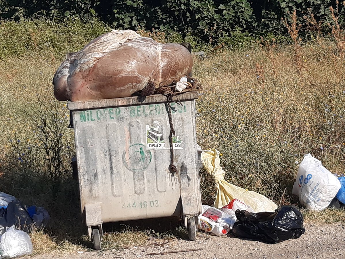 İskembeyi çöp kovasina sokmaya calisan akil anan'dan niye cıktın ki