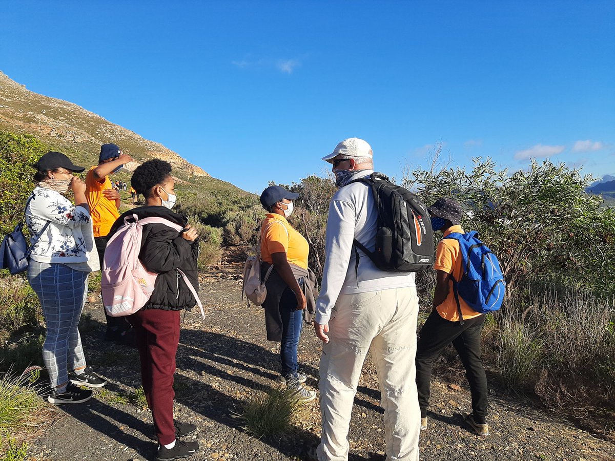 LawhillMaritime's tweet image. Most grateful to the six @western cape #tourguides who took 24 maritime students + staff up Slangkop Mountain to see rare proteas found only on the mountain  behind our hostel and no where else in the world. @CapeTownTourism #learningunderlockdown