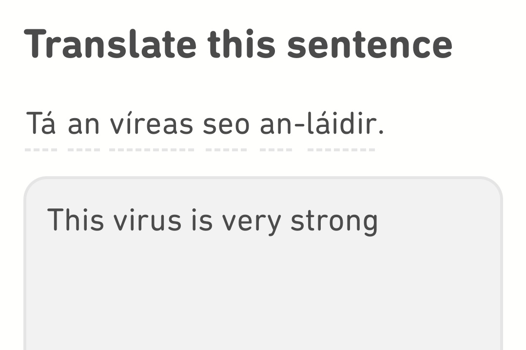 Not now, Duolingo.