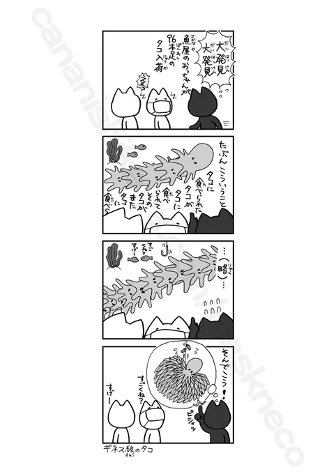今日はタコの話です。この漫画はフィクションですが、三重県にある志摩マリンランドでは実際に多足タコの標本が展示されています。 #いつものマスクねこ 