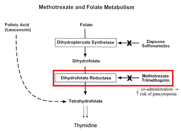 2/MTX inhibits dihydrofolate reductase in the folate pathway, which is needed for DNA/RNA  inability for cells to rapidly divide!Given similarities in mechanism with other drugs in this pathway, caution should be used when adding MTX on top of them, especially TMP-SMX!
