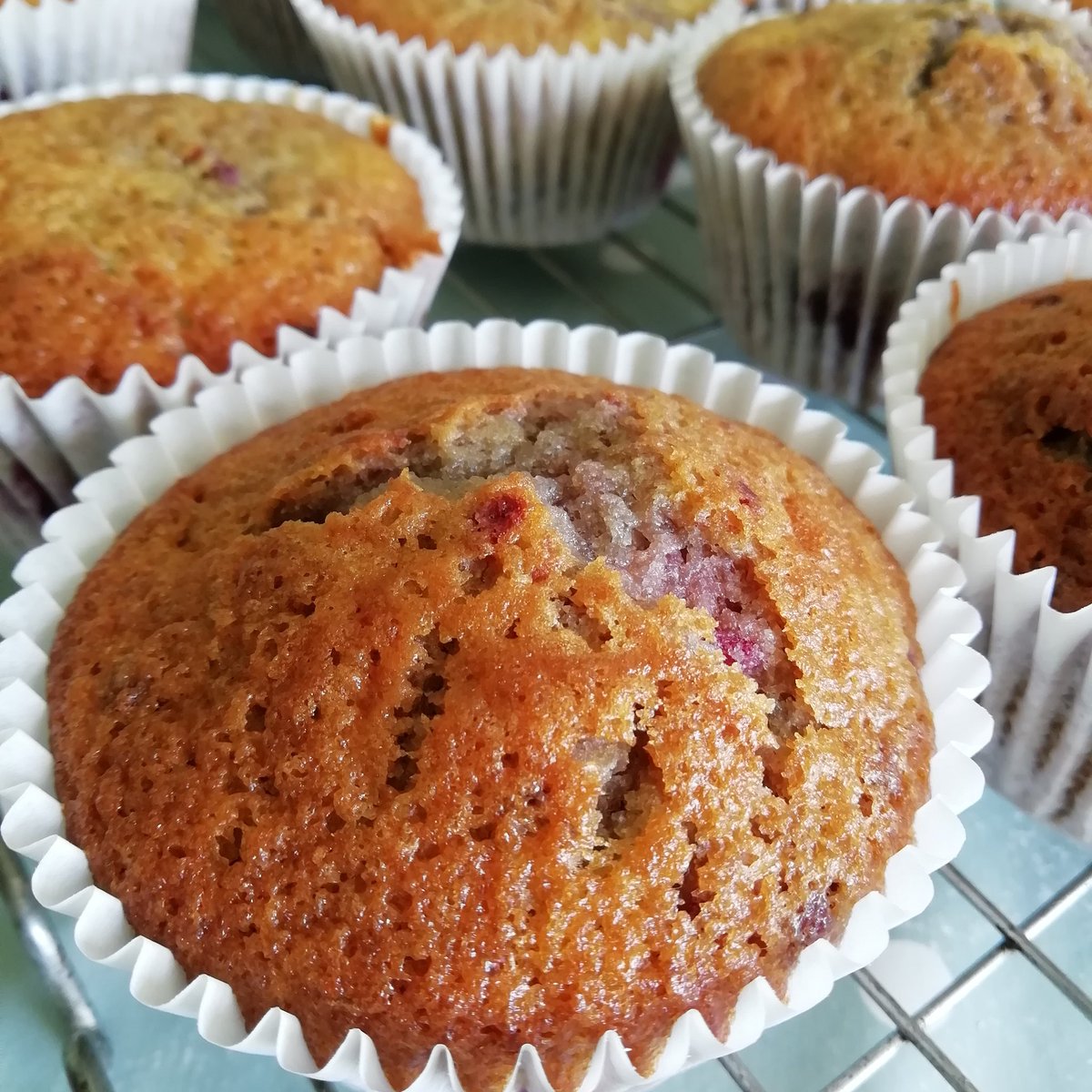 SFodmap's tweet photo. #Loganberry and #Chocolate #Cupcakes..a #delicious #taste of #summer.. #recipe link on my bio, #lowfodmap version also..#recipes #RecipeOfTheDay #recipeblog #Food #Foodie #foodblog #baking #homebaking #homebaker #muffins #homecooking #homecook #homechef #glutenfree #foodlover https://t.co/t3Xyg9ZRsQ