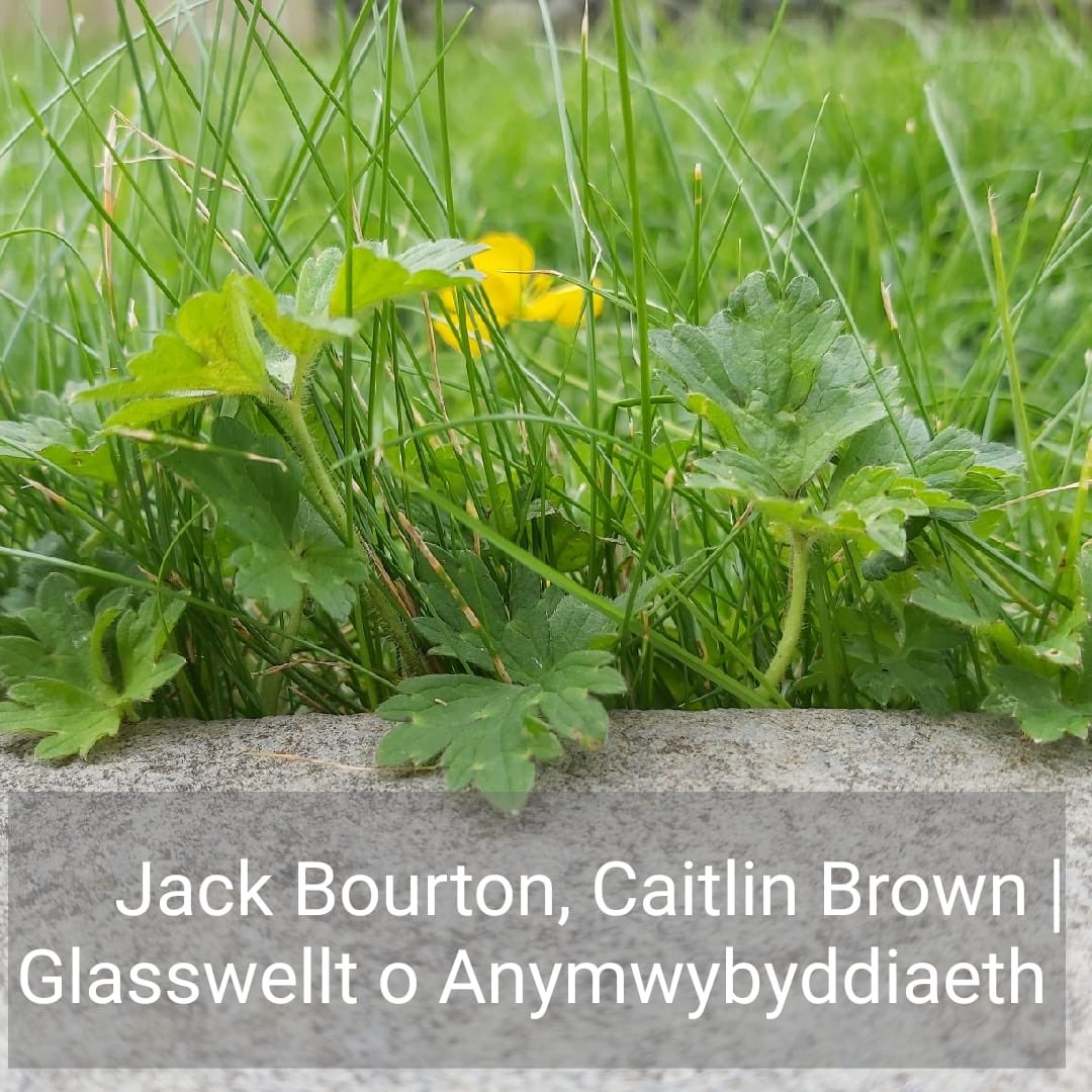 sidedishtheatre's tweet image. Tonight’s line up in includes 3 of our Side Dish team, who are all @royalcourt young agitators @bourton_jack (with help from Caitlin Brown), @Riwa_Saab and @mishtweetz , and a wonderful piece by @roblacktam. We can’t wait to share the experience with you!