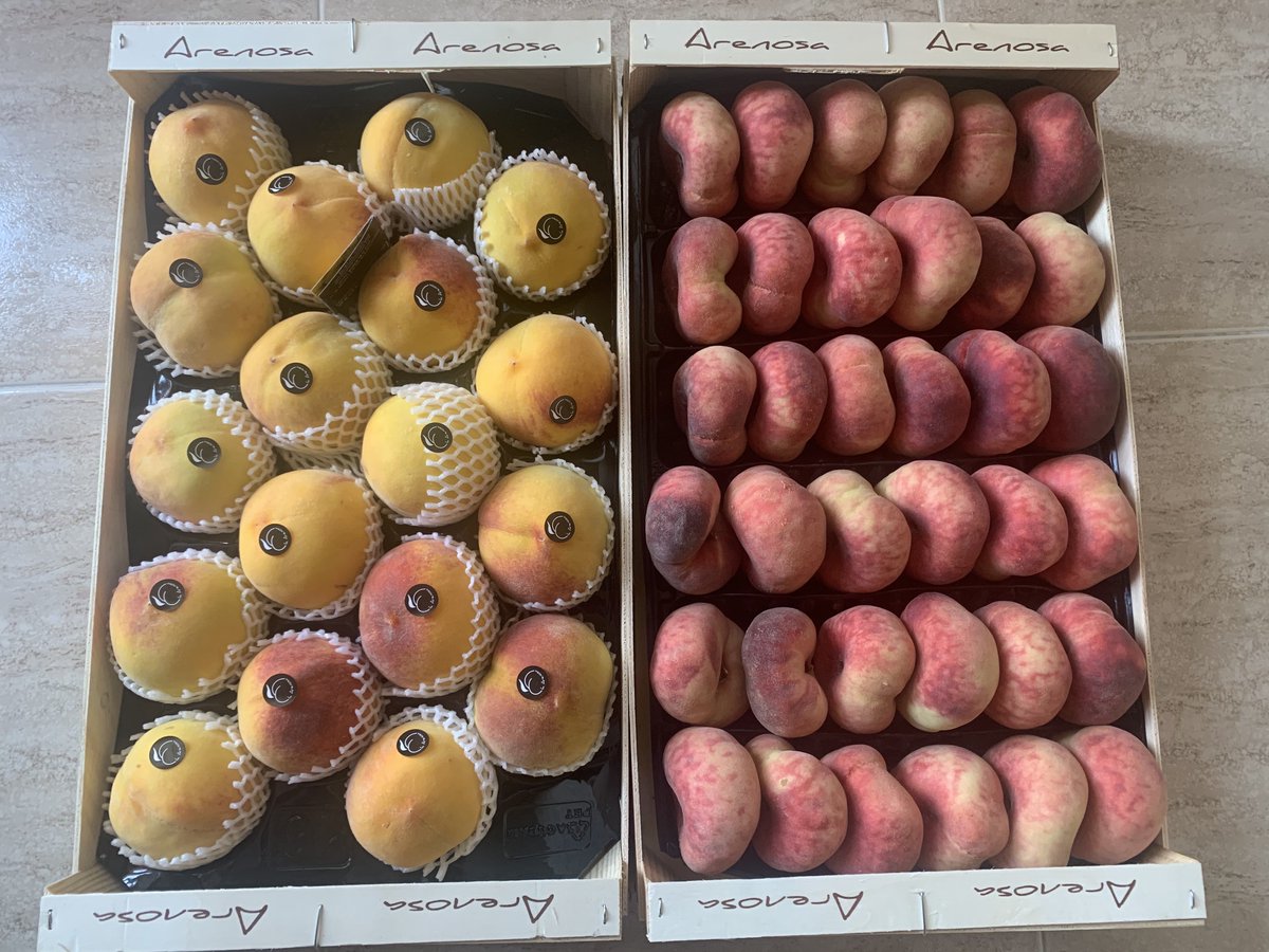 CashInfinity_es's tweet photo. Vaya forma de comenzar las vacaciones con este regalazo de #arenosagourmet Que buena pinta tienen esos #melocotones y #paraguayos. Cómo los vamos a disfrutar en la playa!! Muchas gracias  @arenosa_gourmet_peaches @josejoaquinmurria  #arenosagourmet #selectedfruits https://t.co/cNbbz1SJ2b