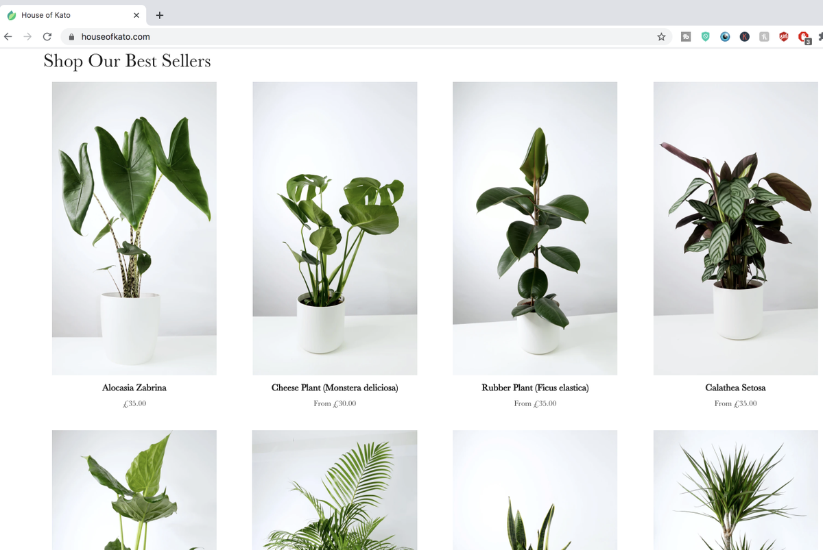 HAULAMUSIC's tweet photo. @DionneGrant @buyitblackowned For Houseplants / Indoor plants and accessories, check out https://t.co/4jUT2WTZ4I run by a black woman. https://t.co/WhxiW8Swz5