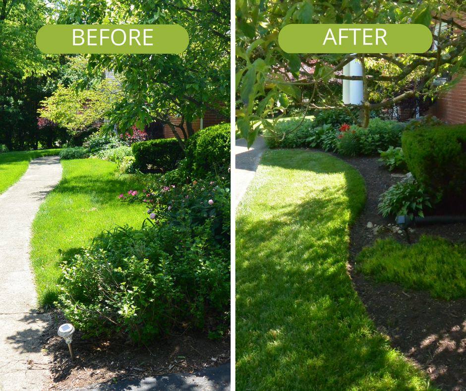 GreenLawn by Design tweet media