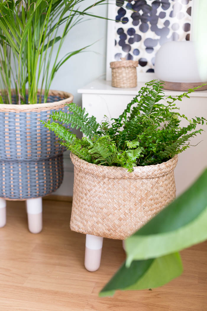 FallForDIY's tweet image. According to Alex I'm preparing our home for a 6-inch mini flood. Slightly elevating even our plants off the ground - ironically they're maybe the one thing that would survive (and probably welcome) a slow influx of … bit.ly/2JGetjJ
