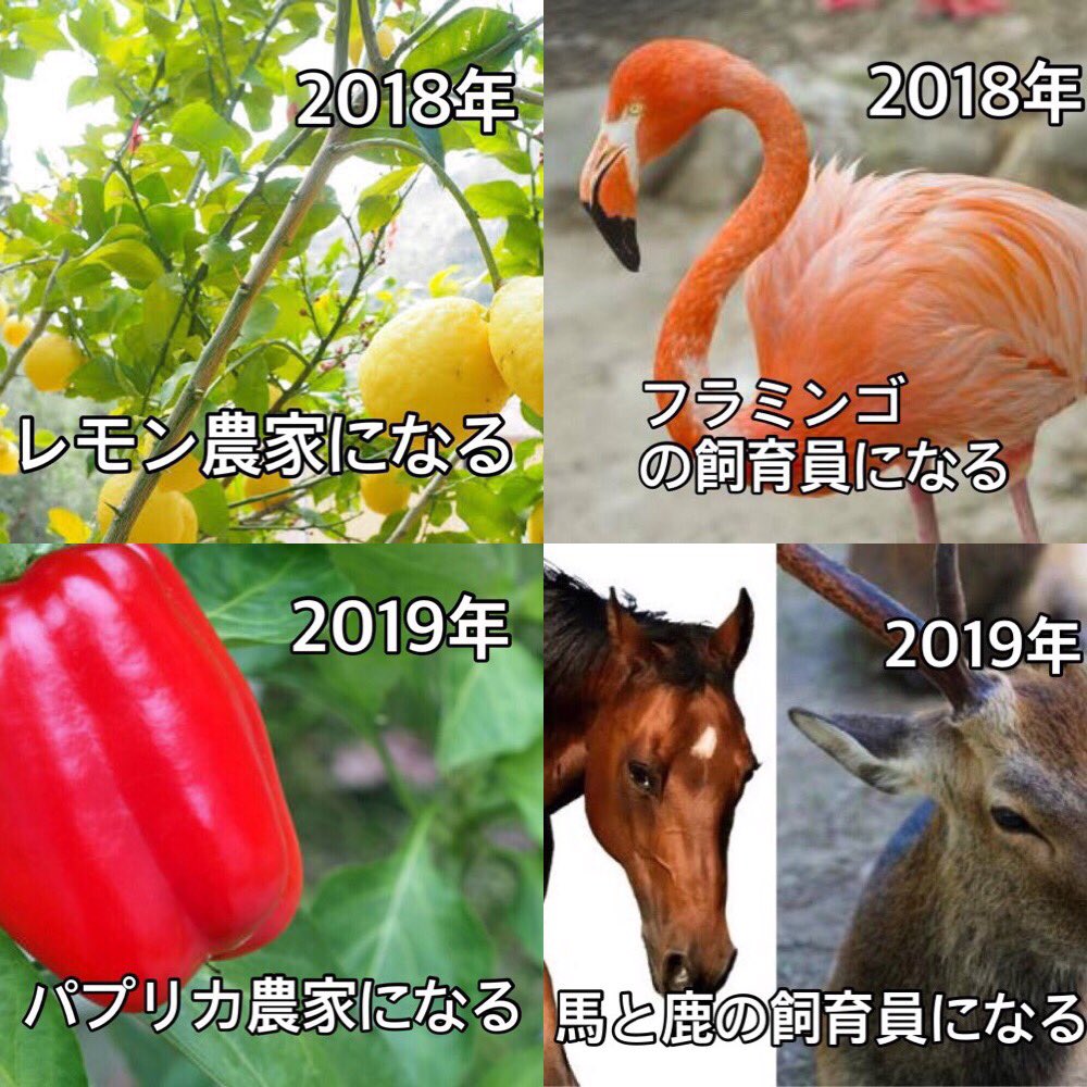 名曲の数々 これが米津玄師の生きざまである 話題の画像プラス 名曲の数々 これが米津玄師の生きざまである 話題の画像プラス