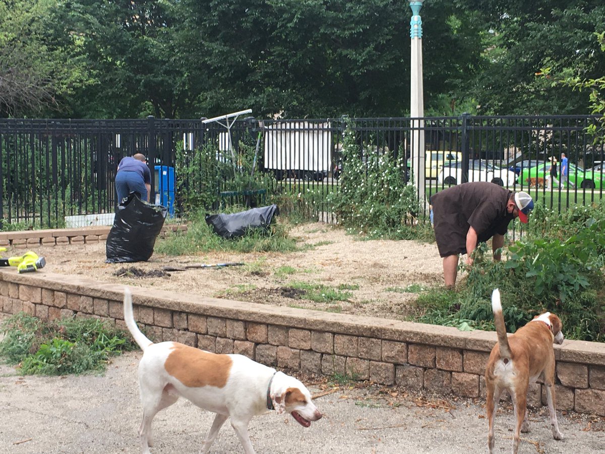 Puptown_DFA's tweet photo. Cleanup is underway until 10am. Come help us pull weeds and rake up debris. https://t.co/ISqjQrYaLA