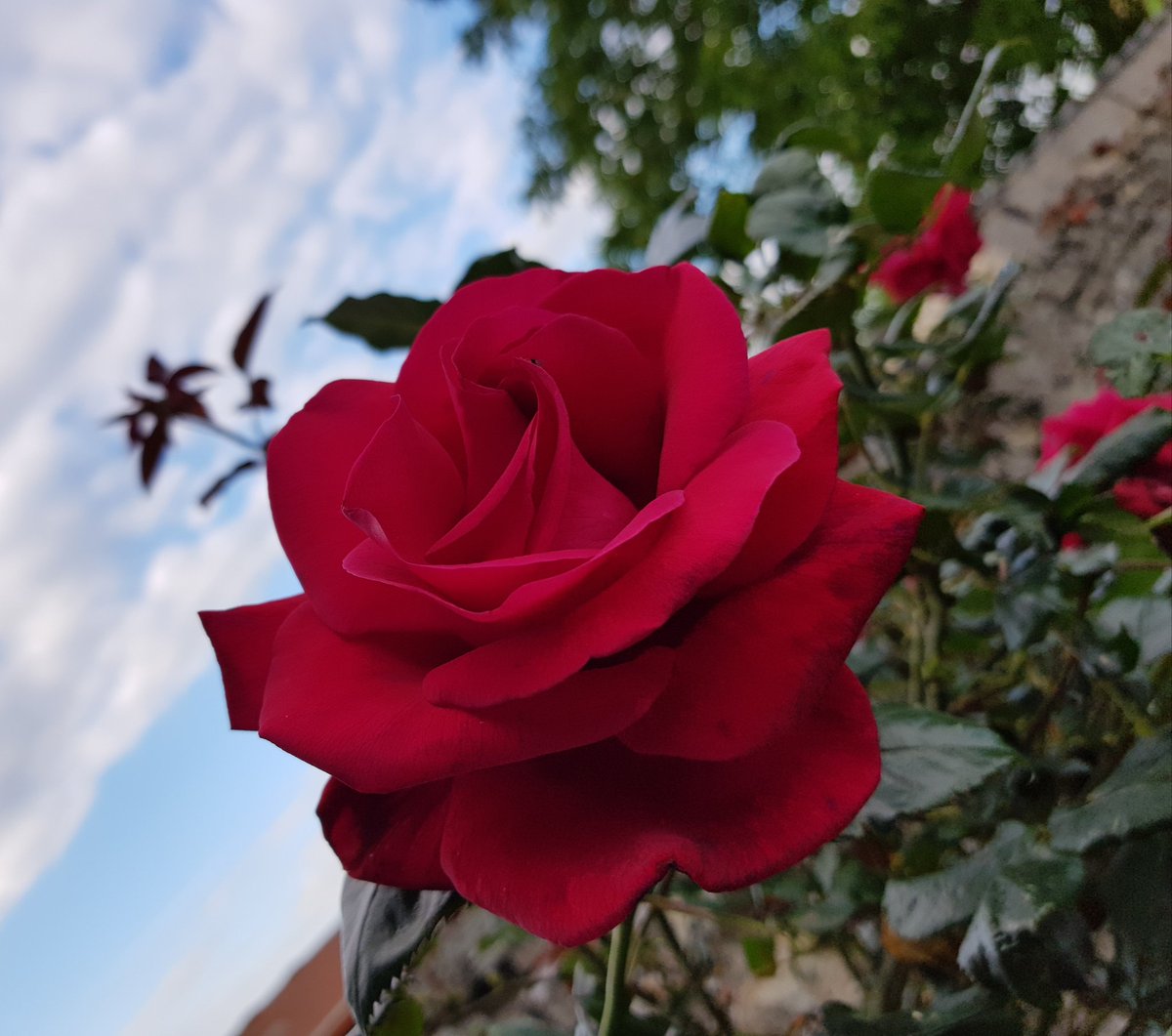 ~°• doux week-end a vous •°~
hydratation et prudence au rdv 🙏