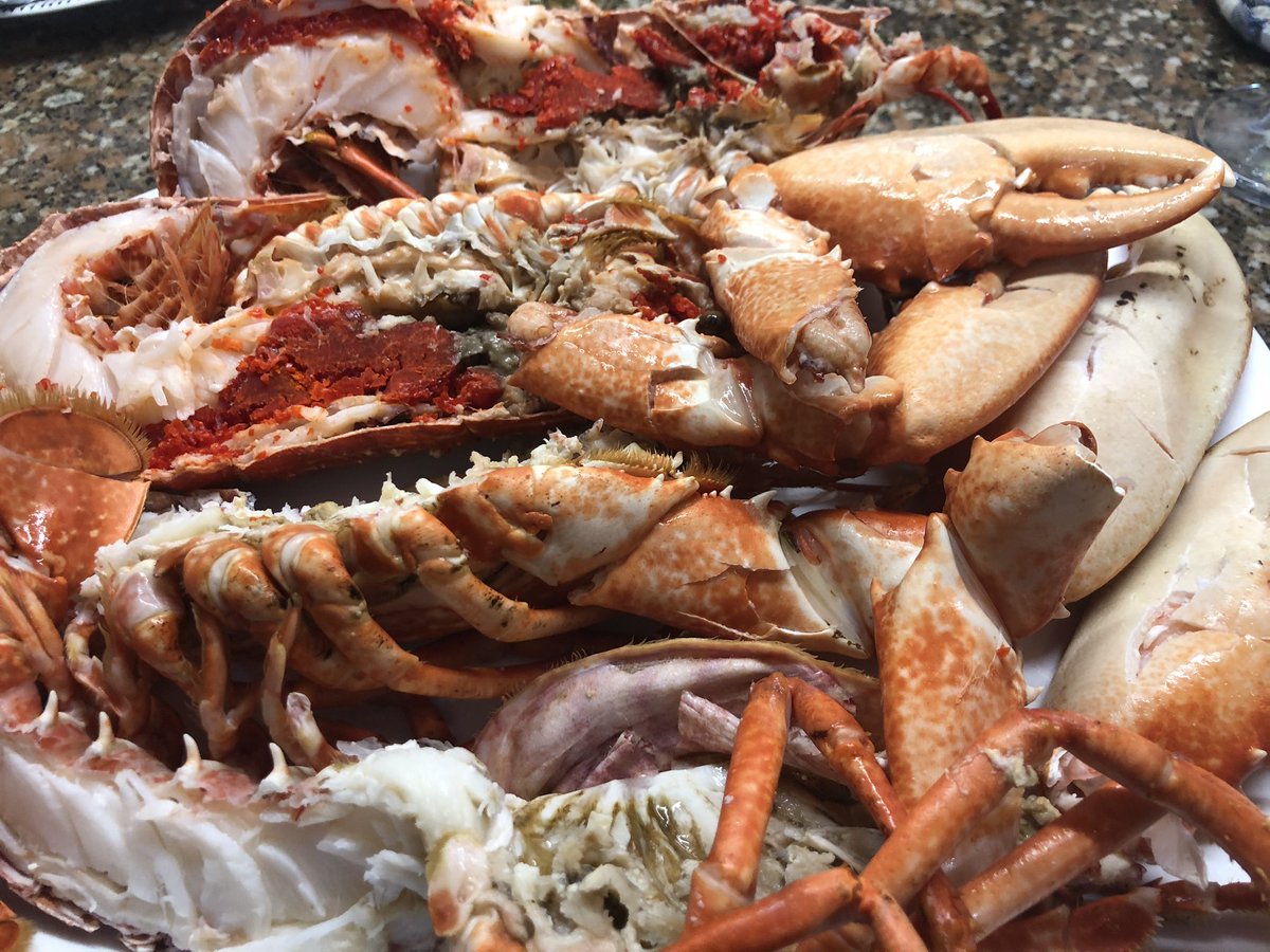 Averyslondon's tweet photo. Our treat day #Lobsters under prep &amp; Cooking. Mind Blowing Aromas &amp; Divine Taste @TheCat_Max @Averyslondon https://t.co/iOXz8zZyFL