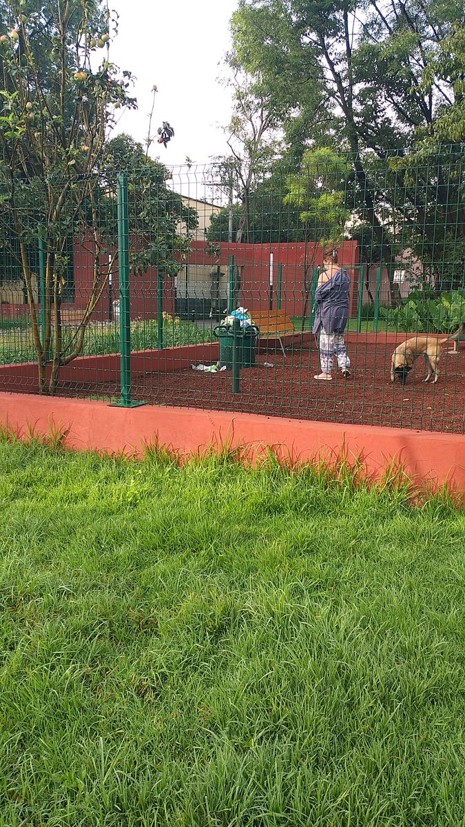 gabsanbum's tweet photo. Excelente opción para caminar y mantener la distancia en la @TlalpanAl . Si  embargo los @basurerosllenos llevan más de una semana @GobCDMX ojo con la #recoleccióndebasura oportuna https://t.co/SvZvp22Q0J