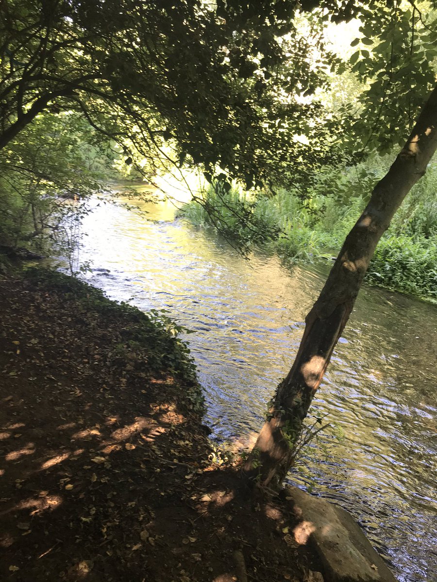 steffiec91's tweet photo. Love my allotment. Love my garden.Also suffer from wanderlust badly as love adventure travels.Trying to explore local instead.Brill walk yesterday with a friend to #Footscraymeadows #Fivearches just 20 min drive away but never beenπ€·ββοΈBest bit was a gentle stream to paddle in . https://t.co/7wMUV7Ui52