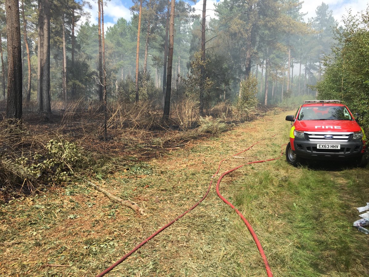 StaffsFire's tweet photo. @StaffsFire Crews have been at a fire in woodland near #Enville since yesterday afternoon. We have specialist wildfire assets in attendance &amp; are likely to remain on site throughout the weekend damping down &amp; dealing with hotspots @SWMFireControl  #dontbeblamedfortheflames https://t.co/ZrNoEoal6L