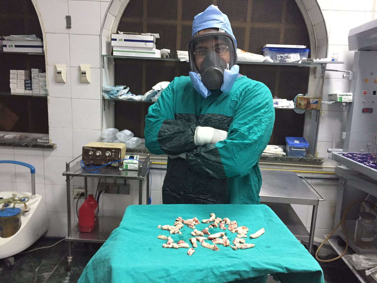 Elsherif1979's tweet photo. #does_the_size_really_matter! Well, before you think I am talking about something else, I am talking about #Myomas. Sure, it matters but whatever the size, we can remove by #laproscopy.#د_محمد_ااشريف https://t.co/mQ1e3JoLSN