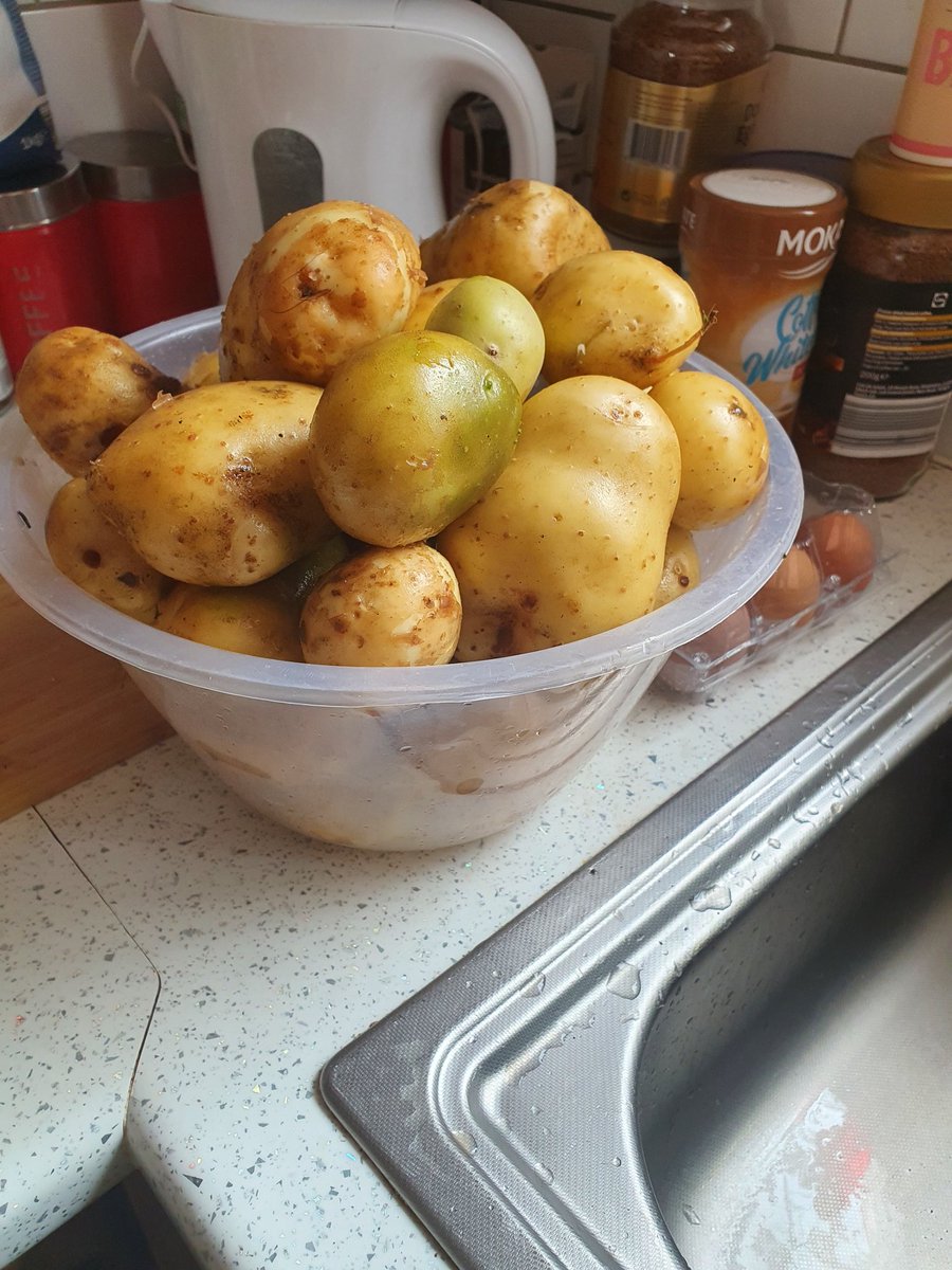 lauraleigh321's tweet photo. Masons homegrown potatoes 🥔 @athersleynp https://t.co/sYdRAsZLUc