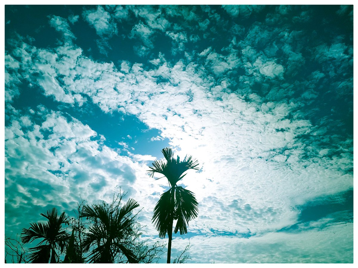 KrystWorld's tweet photo. Terrace again!
.
.
.
.
#terrace #rooftop #clouds #afternoon #betelnut #skyphotography #sky #light #colours #nature #beautiful #contrast #cloudformations #white https://t.co/OxuUXVVADL