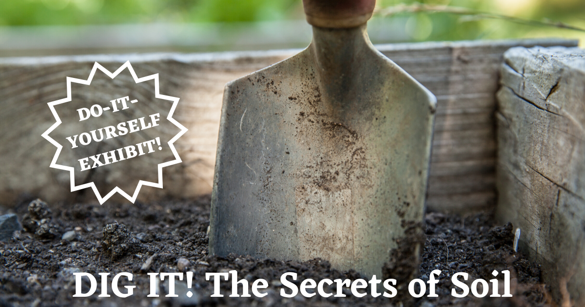 ASA_CSSA_SSSA's tweet photo. If you want to help your community learn about the secrets of soil, download the FREE Dig It! The Secrets of Soil! This do-it-yourself exhibit features 16 panels to print & display at locations fitting your needs! Click to get started: https://t.co/eEp0vi2Ino #DigItDIY #Soil https://t.co/GhjlXjbdxC