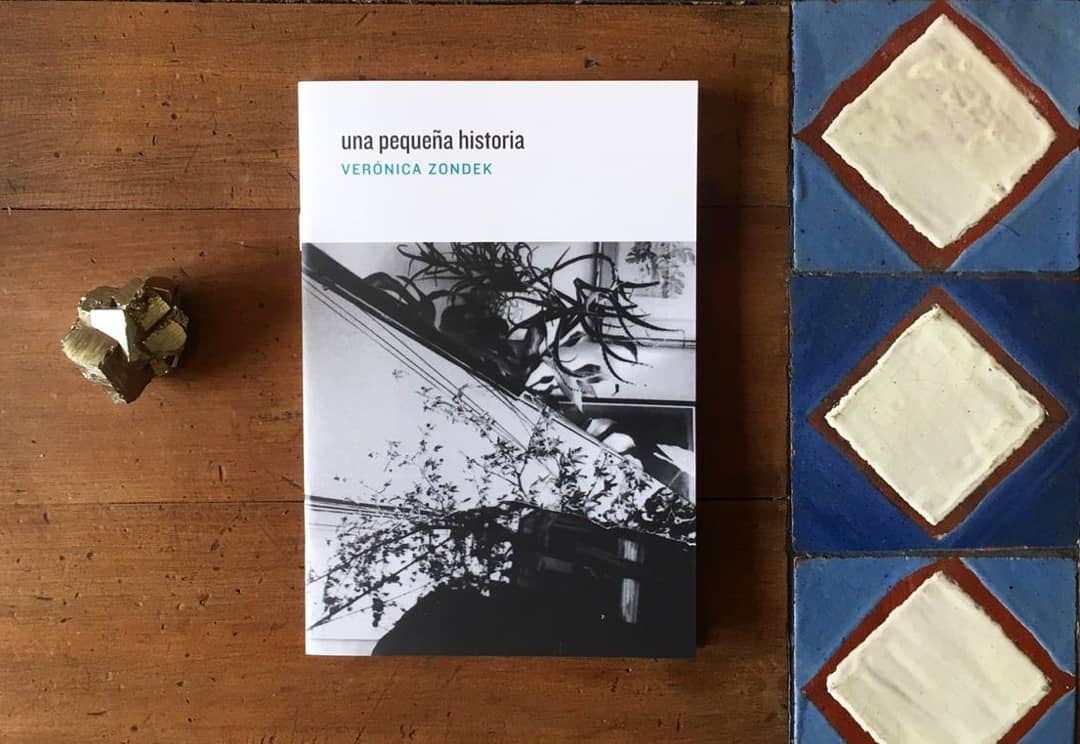 🔹🔸«Una pequeña historia» de Verónica Zondek, publicado por Cuadro de Tiza 🔸🔹

🔪$2.000 por venta directa (consultas por dm o a nuestro whastapp +56 33 225 3569)