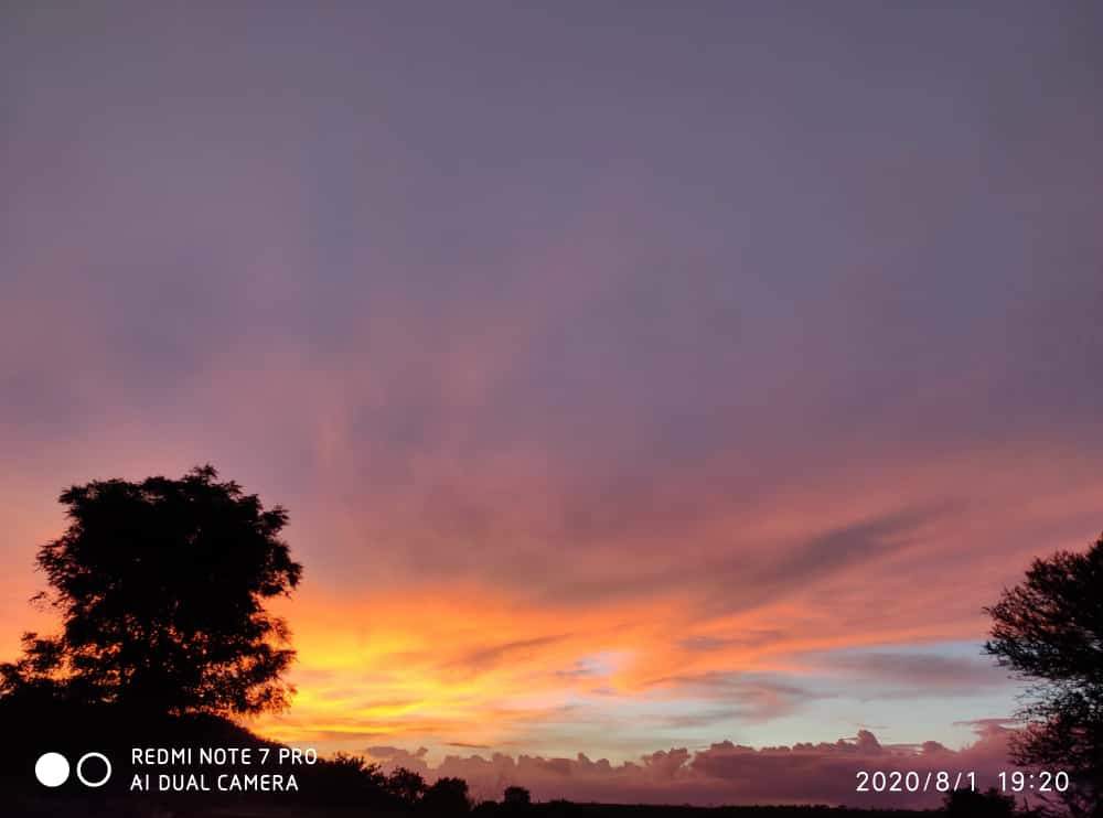 Anil_Game_Patil's tweet photo. #Just_clicked 🤩✌#Evening 
#माझाक्लिक #nature #निसर्ग https://t.co/9UrnNb5eAm
