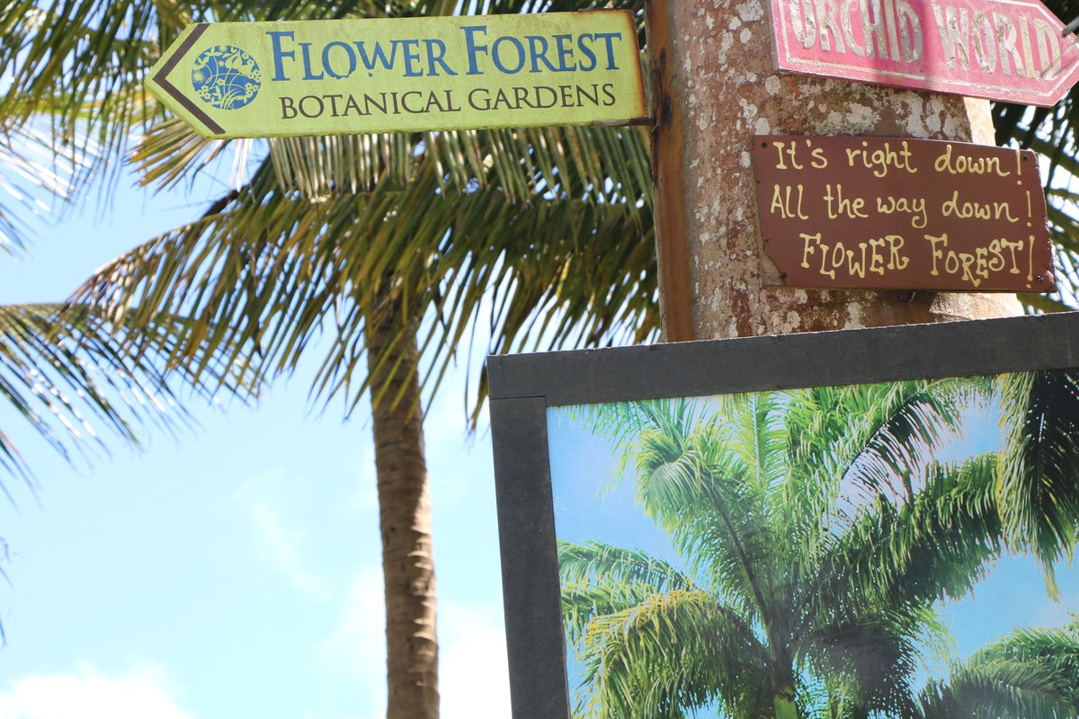 Hello August! Will you be visiting us this month? Just follow the signs.