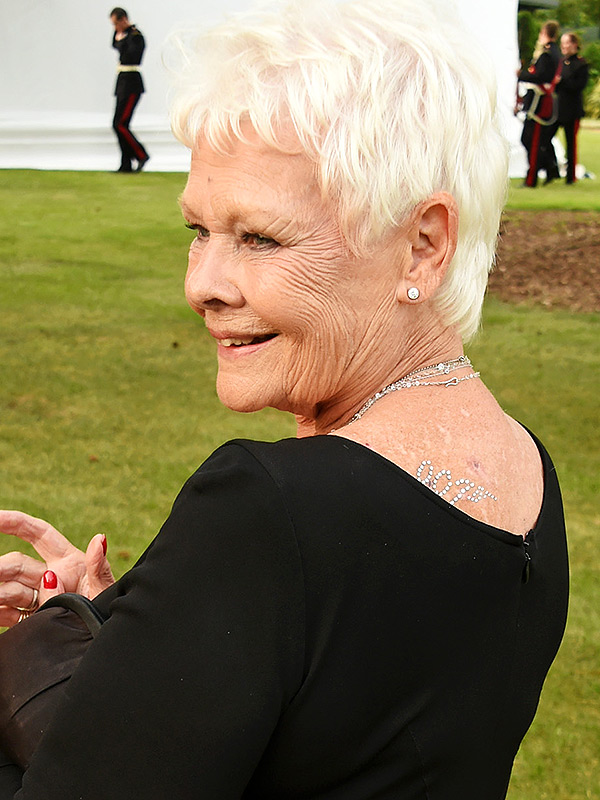 Day 1751
Diamonds are Forever Charity Gala, 2016
Photographer: Dave M Benett
#JudiDench #DiamondsAreForever #CharityGala #JamesBond