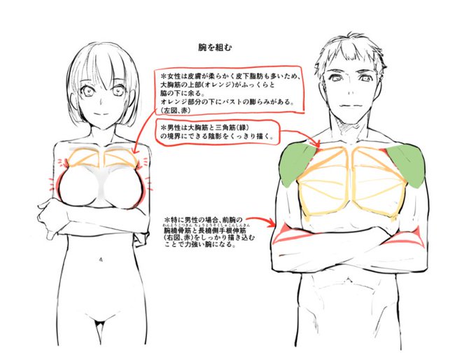 お絵かき講座パルミー 7周年記念キャンペーン中 さん の人気ツイート 11 Whotwi グラフィカルtwitter分析