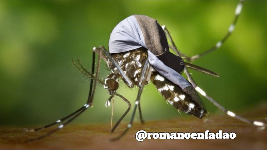 Los mosquitos de la costa de Huelva son tan grandes que algunos ya me han pedido la fecha de varias igualás de Carnicerito...
¡Latigasso gordo!