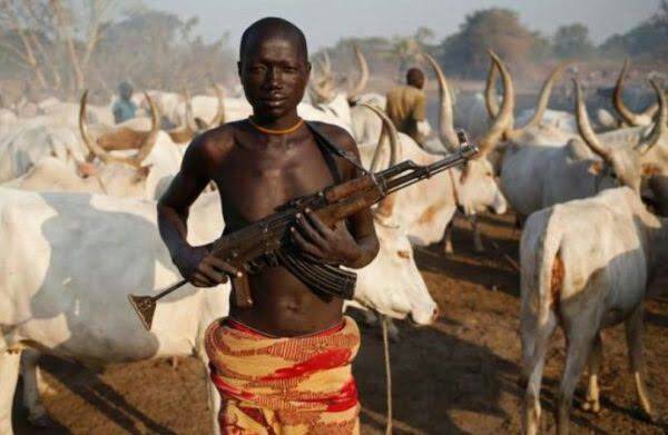 GPGGNigeria's tweet photo. Fulani herders in Nigeria's Southern Kaduna are some of the most heinous killers in the World. For access to pastoral routes, these herders hack hapless victims in the most brutal and sadistic fashion.
@gpggnigeria #Insecurity #StandForGoodGovernance https://t.co/04WjVFsbRk