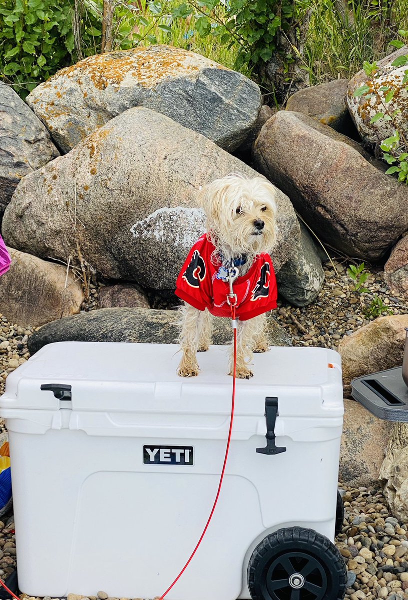 kevinlanes's tweet photo. Ready for puck drop! #gameday @NHLFlames @YETICoolers @hockeynight https://t.co/TIKikf7tZy