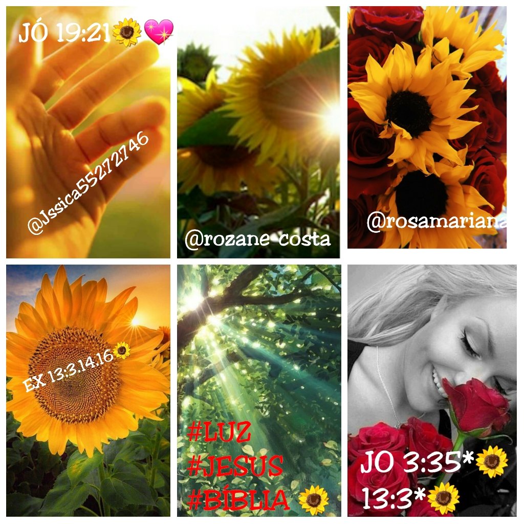 RosaMar14112784's tweet photo. #GerandoVidas #vida #Viver @Rozane_Costa
'Não se achava uma ajudadora que fosse como a sua outra metade'( Gn2:20; #ÚnicoDesejo *( Ef5:22-32)#UmÚnicoCaminho #EspiritoSanto #NascerDoAlto *( Ap19:7)#BomPerfume #fonte (Ez47;1-12)@Jssica55272746 #Templo Jo2:21) https://t.co/d3kcu4zGKG