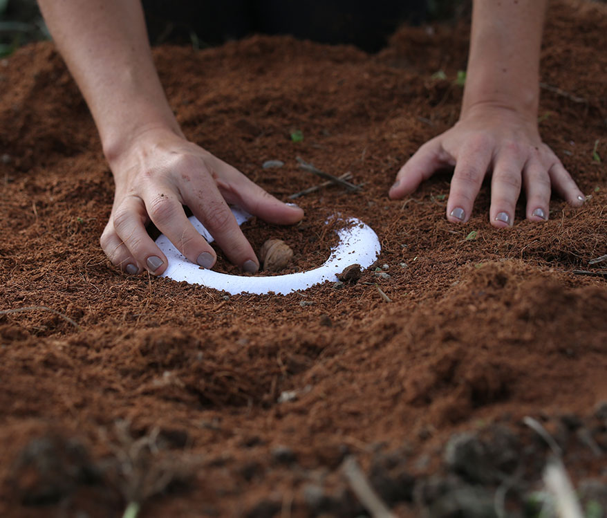 UrnaBios's tweet photo. Is my favorite tree type compatible with the #BiosUrn? Yes! Our #treeurn works with every single kind of seed or seedling, no exceptions! Read more in our latest Blog post https://t.co/la1HVAPIHC
#BackToNature https://t.co/Q6ZC0ISnqd