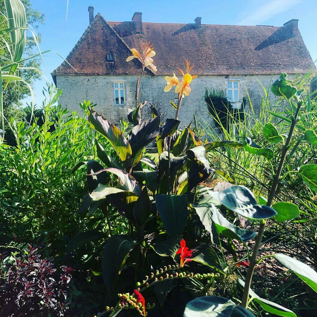 ChateauLeRetail's tweet photo. #summerflowers #haveabreak #limitedspaces #sudvendee #gites https://t.co/WAuS5xLJMB https://t.co/KzXh72b9hl