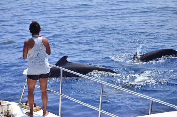 "If we truly want to save our #oceans, never forget: every #coastline needs a #local hero." 🐋
<a href="/ashadevos/">Dr. Asha de Vos</a> of <a href="/oceanswellorg/">Oceanswell</a> has written a brilliant and very important article on 'parachute science' which is also known as 'colonial science'. Check it out: buff.ly/2NPZ14P