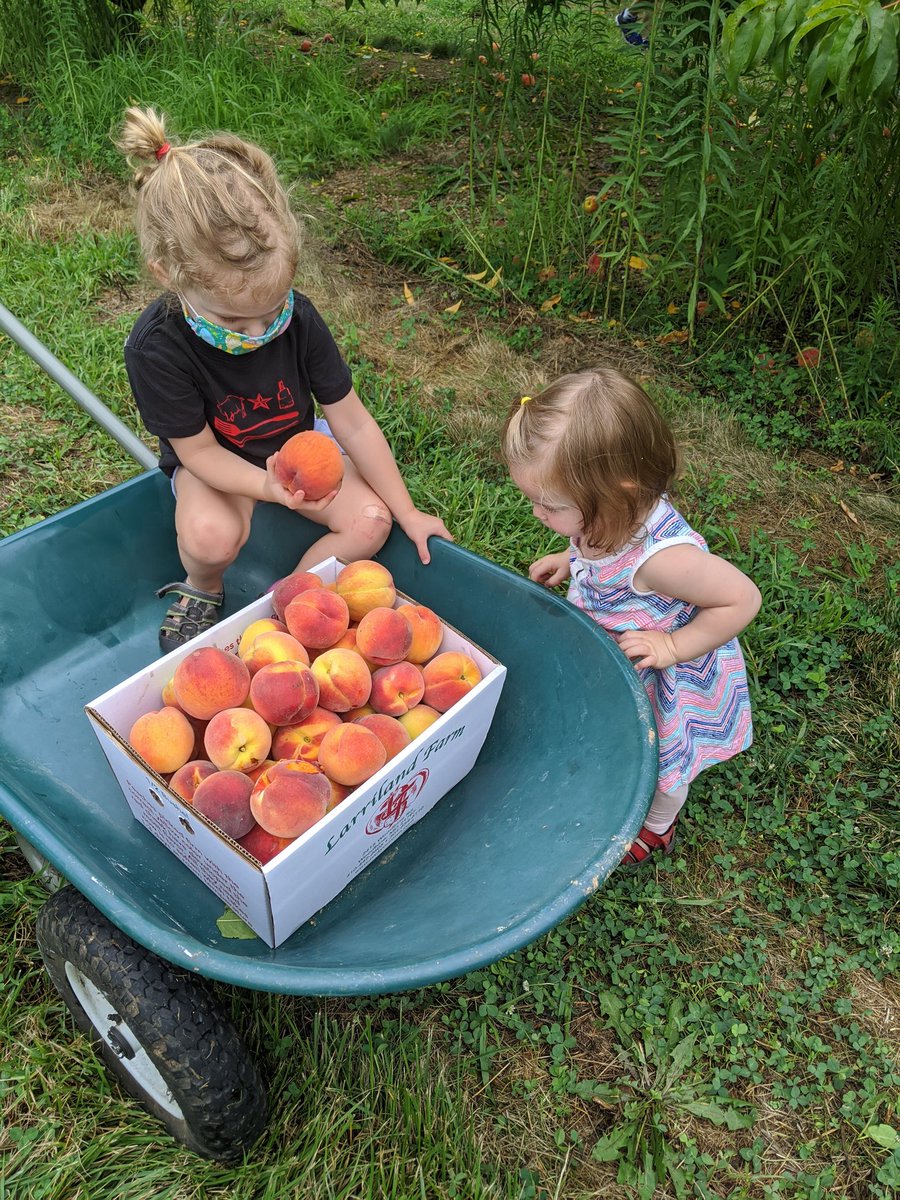 Claudia Fabiano tweet media