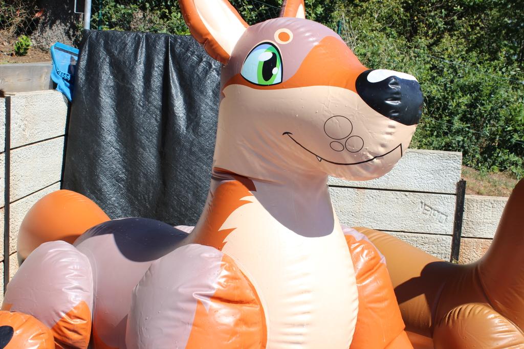 Spotty_Tiger19's tweet photo. Few Picture from the last days๐ enjoy a Sunny #Squeaksaturday ^^
@HorseplayToys @PuffyPawsToys @InflateThemAll
#Inflatable #PuffyPaws #GG #Horseplayinflatables #Swimline #Hunter #HunterCoyote #lioness #Unicorn #Springlily #Inflafur #Canon https://t.co/RhFIUASmZ4