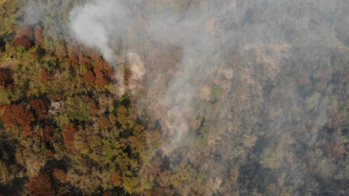 SindicatoRM's tweet photo. Activo y sin control se encuentra Incendio Forestal en Puchuncaví.
No basta sólo con monitorear los 🔥 en esta época, se debe realizar un combate efectivo y para esto: @conaf_minagri tiene q ADELANTAR EL INICIO DE TEMPORADA ⚠️
@AidaBaldini @FernandoRainr @BrigadistasOn @tracy_if https://t.co/lvteuKCac0